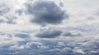 CFEEEB5E-856B-11EB-A1E4-B8613655F3F5.jpg