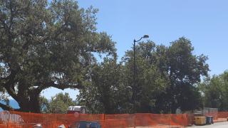 D28523CA-0822-11ED-AFCB-DD1BC24C915C.jpg