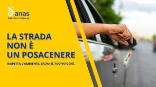 DE8E07D6-3DE5-11EF-8901-3EC066C26B32.jpg