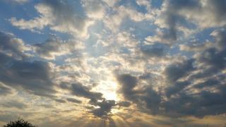 E0988F8C-B6EE-11EB-A2FB-81323655F3F5.jpg