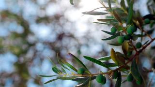 F079E14C-B81F-11ED-AB0E-226FC24C915C.jpg