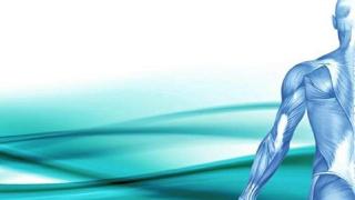 F510A16A-744B-11EB-932F-4D1A3655F3F5.jpg