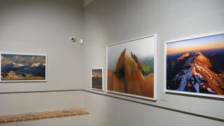 F6C33326-2F47-11F1-BE02-AA97A19AA718.jpg