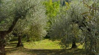 FAAEA3B6-618A-11EB-A752-79AD3655F3F5.jpg